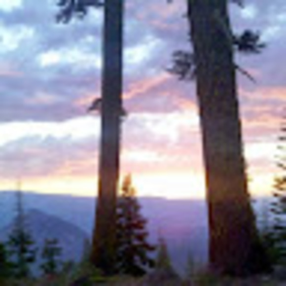 Meet your Posher, Johanna - Picture 1 of 1